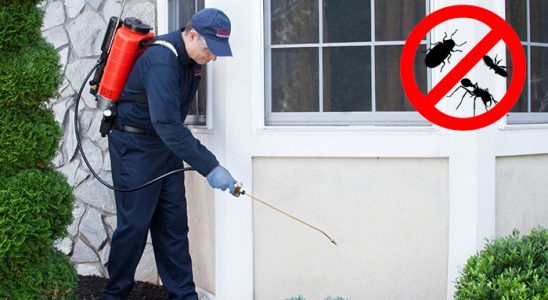 Erfelek Karınca İlaçlama böcek ilaçlama ve haşere kontrolü — ilaclama-tr.com